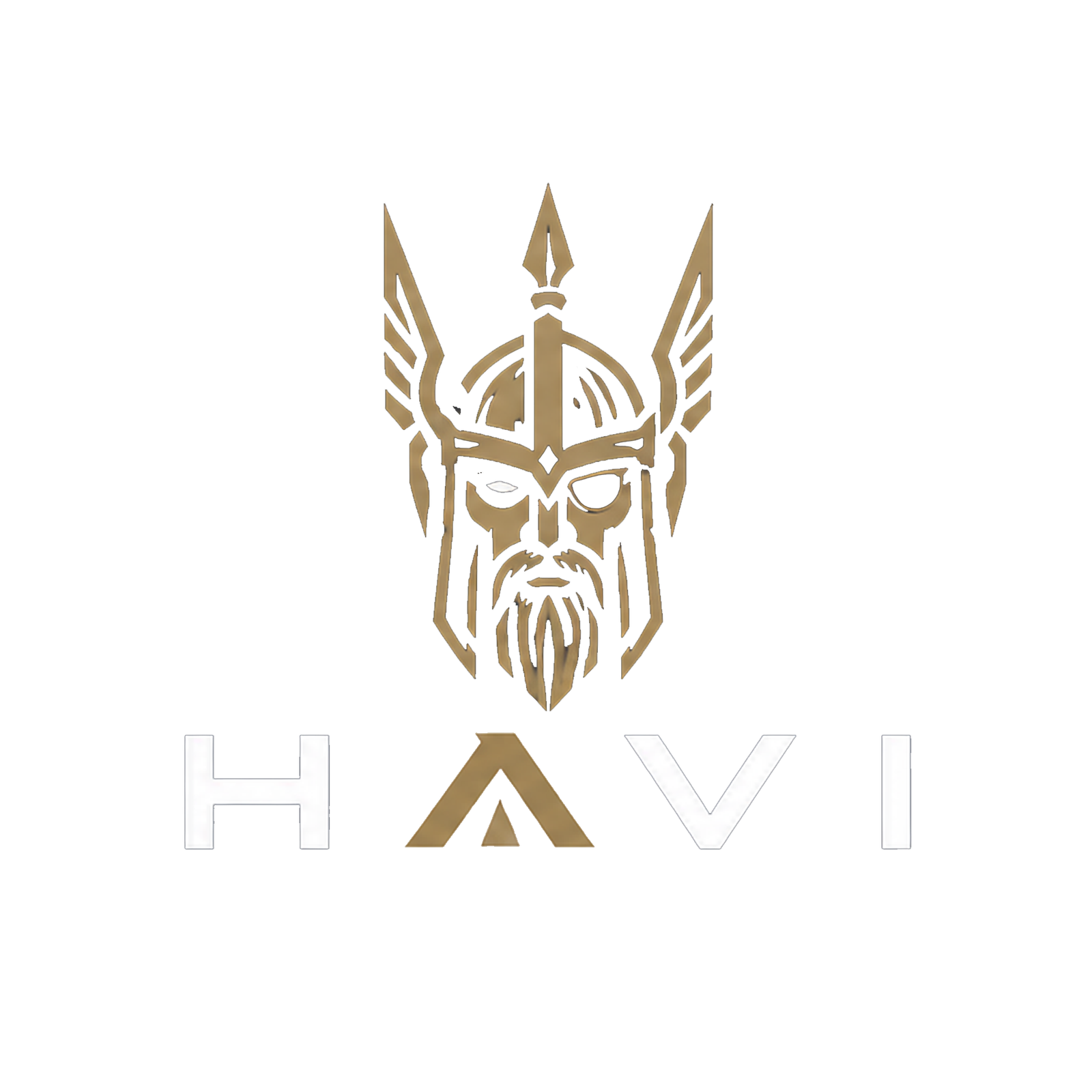 Havi Sports