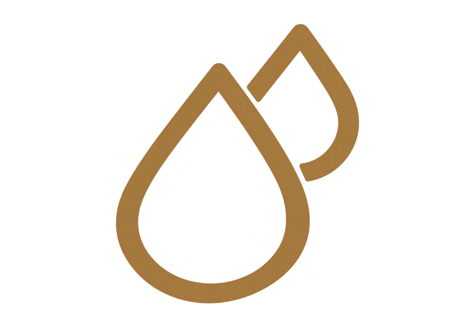 icon_2_1536x1034_transparent (2)